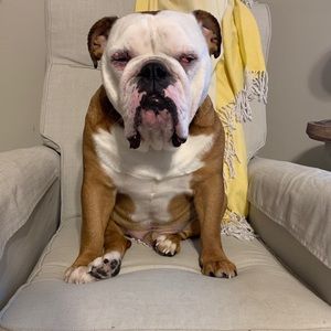 Meet your Posher, Lee